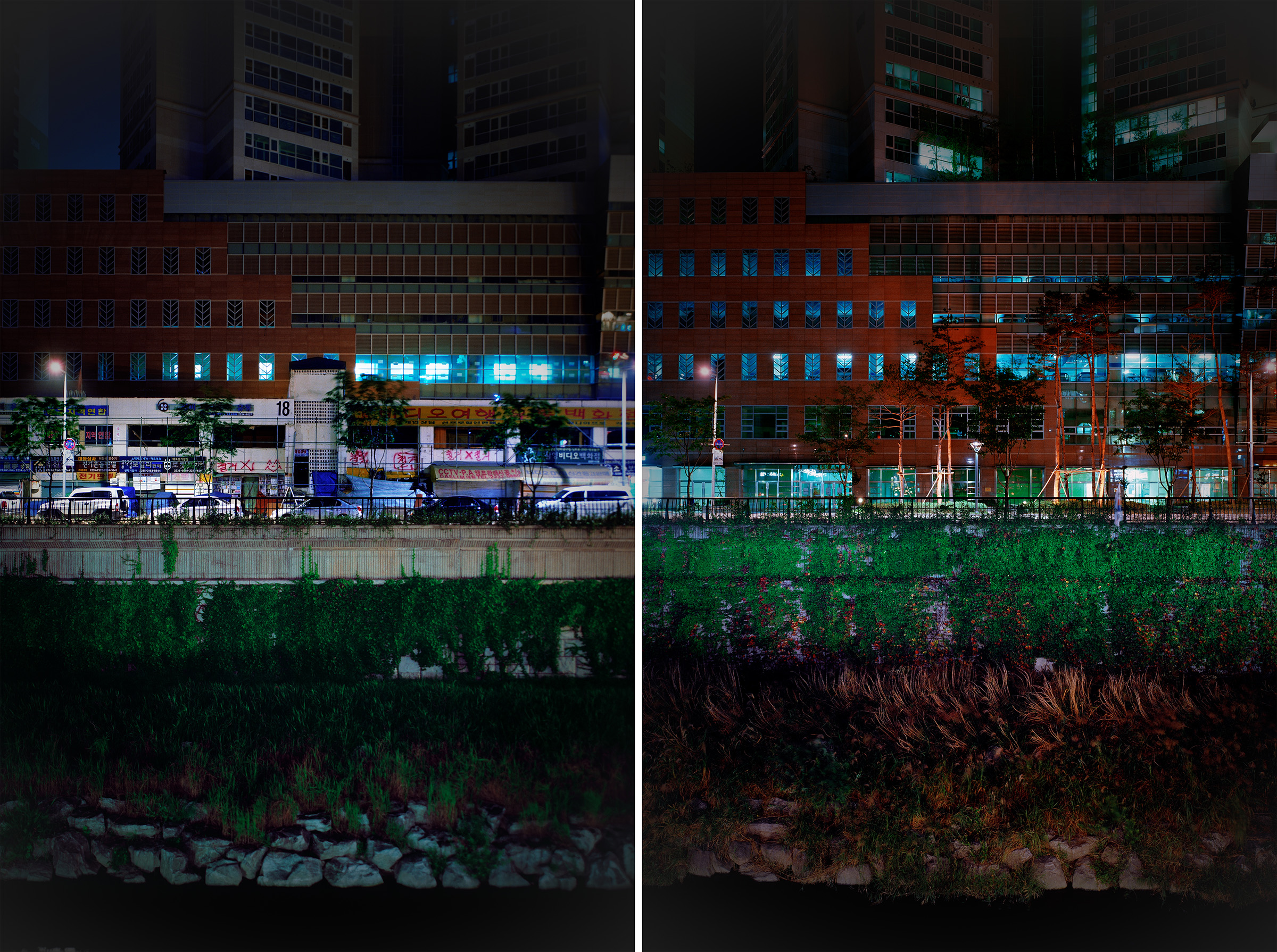 황학지층 06